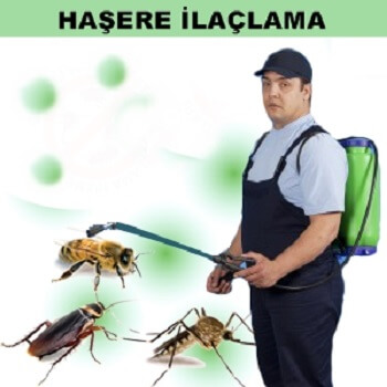 Senirkent Böcek İlaçlama